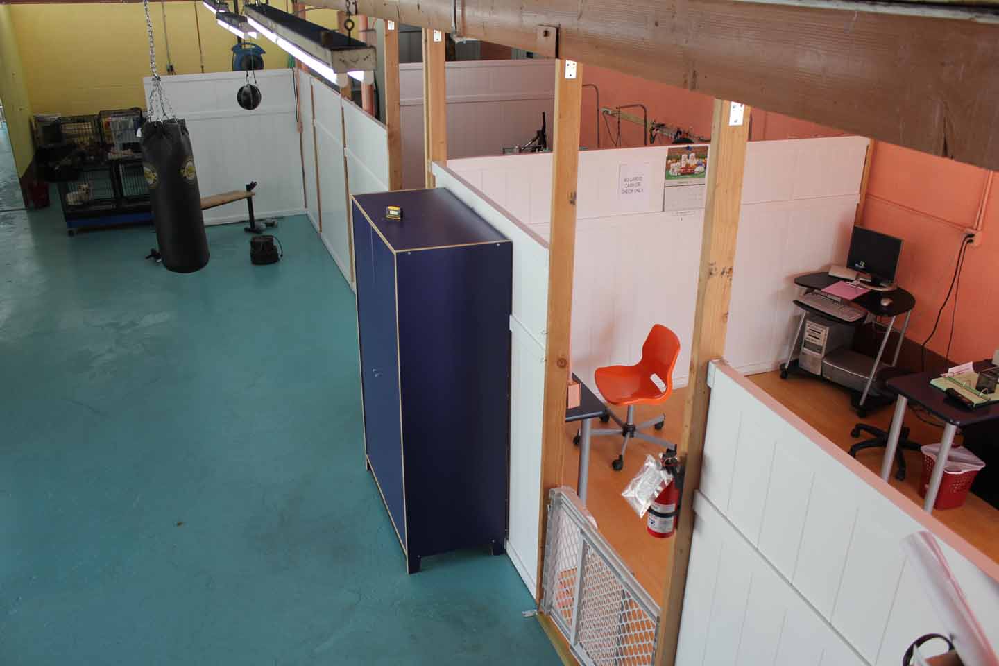 Dog Grooming in Cypress Cerritos Long Beach Lakewood la palma norwalk